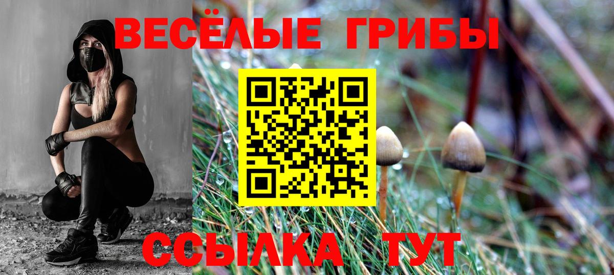 Галлюциногенные грибы Cubensis Светлоград