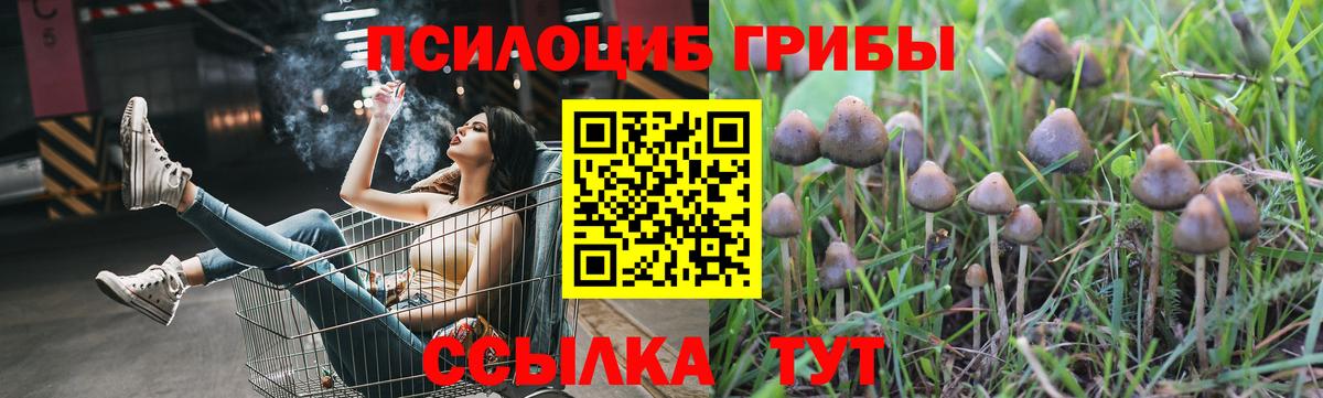 Светлоград  Галлюциногенные грибы GOLDEN TEACHER  Вход с VPN 